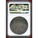 【SOLD】ドイツ ニュルンベルク ND(1629年) ターラー 銀貨 都市景観 NGC AU50