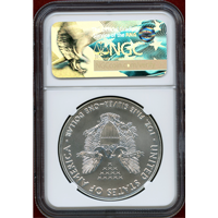 アメリカ 2017年 $1 銀貨 シルバーイーグル NGC MS70 FDI