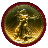 アメリカ 2009年 $20 金貨 ウルトラハイレリーフ PCGS MS70PL Moyサイン