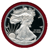 アメリカ 2017W $1 銀貨 シルバーイーグル PCGS PR70DCAM FS