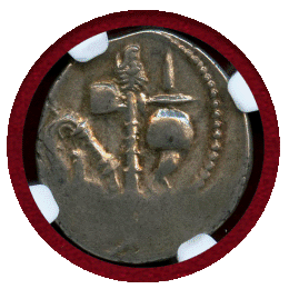 古代ローマ 紀元前49-48年 デナリウス 銀貨 ジュリアス・シーザー 象 Ch XF