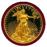アメリカ 2013W $50 金貨 ゴールドイーグル PCGS PR70DCAM FS