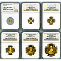 イギリス 2014年 金貨 ブリタニア プレミアム6枚セット NGC PF69UC