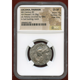 ルカニア Thurium 紀元前4世紀頃 2ステーター銀貨 アテナ 雄牛 NGC Ch XF